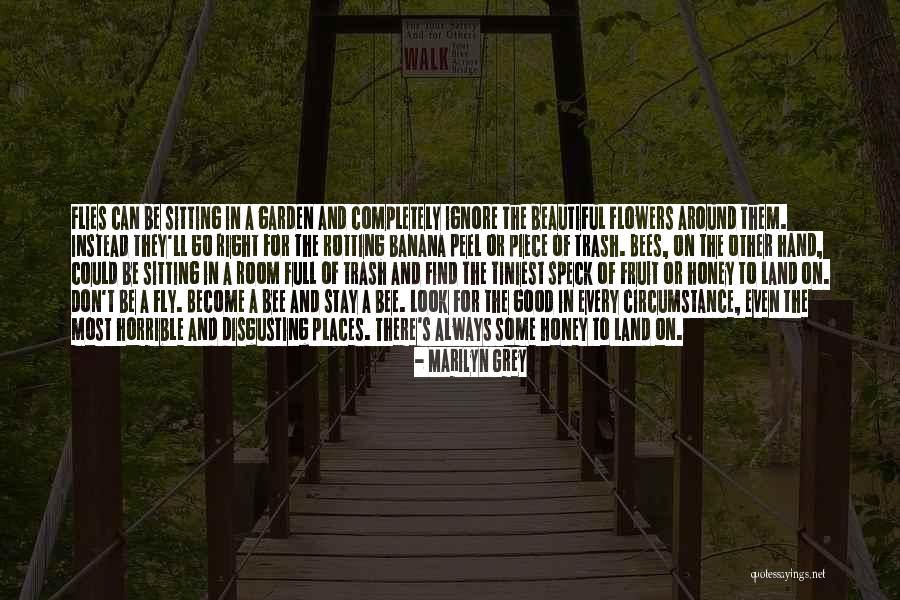 Stay And Fly Quotes By Marilyn Grey Stay And Fly Quotes By Marilyn Grey