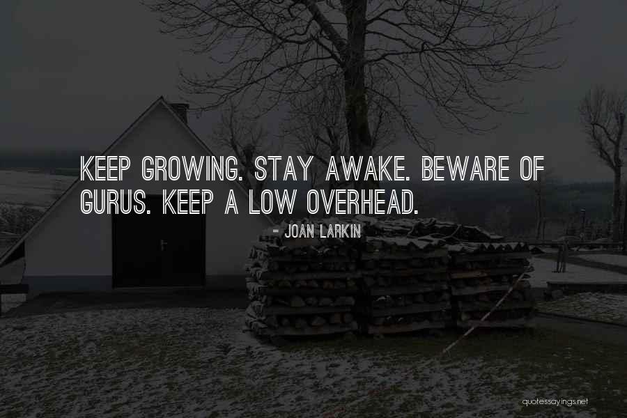 Stay Awake Quotes By Joan Larkin