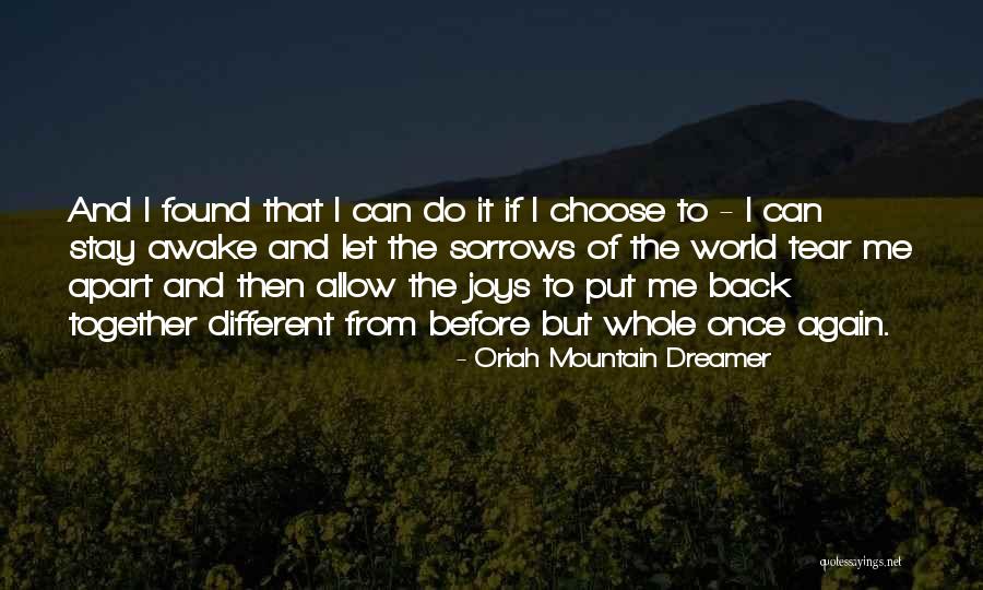 Stay Awake Quotes By Oriah Mountain Dreamer