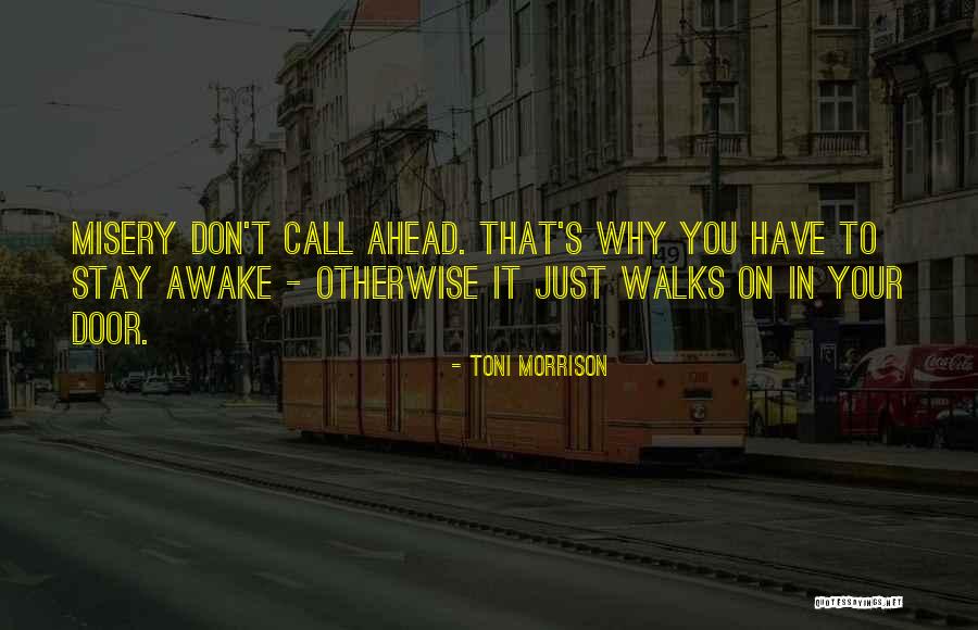 Stay Awake Quotes By Toni Morrison