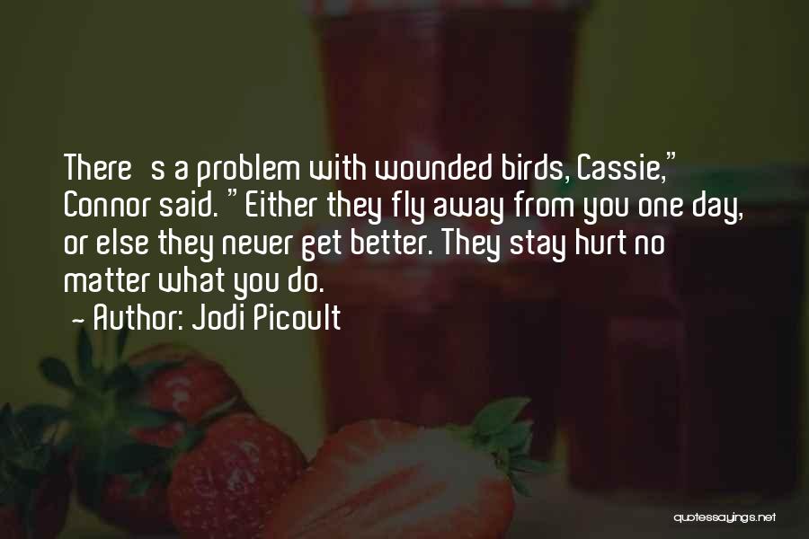 Stay Away From Those Who Hurt You Quotes By Jodi Picoult