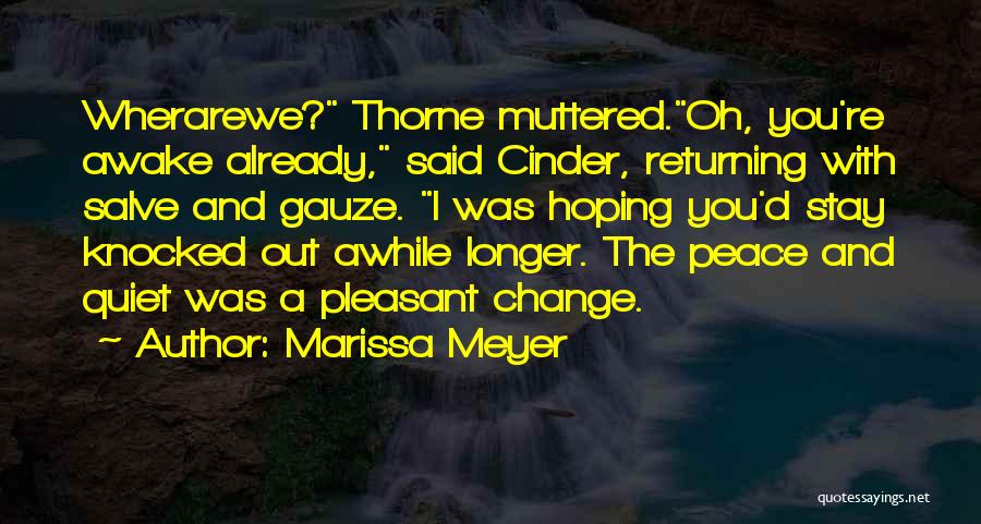 Stay Awhile Quotes By Marissa Meyer