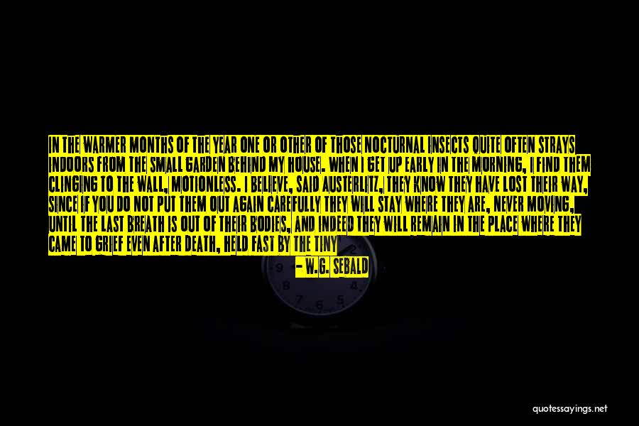 Stay Behind Quotes By W.G. Sebald Stay Behind Quotes By W.G. Sebald