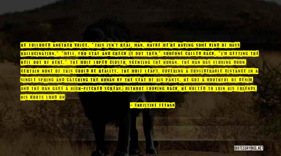 Stay Closer Quotes By Christine Feehan Stay Closer Quotes By Christine Feehan