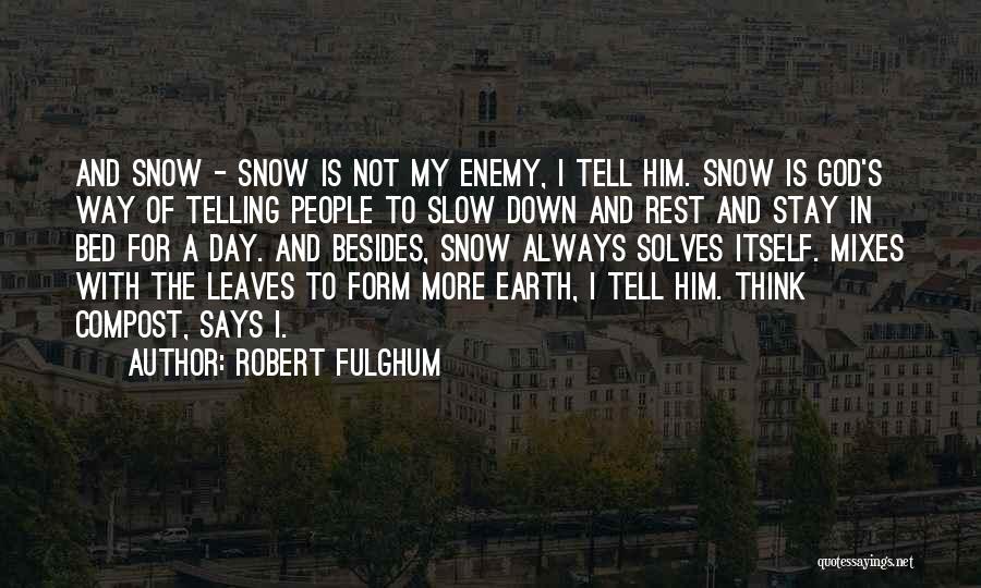 Stay Down To Earth Quotes By Robert Fulghum