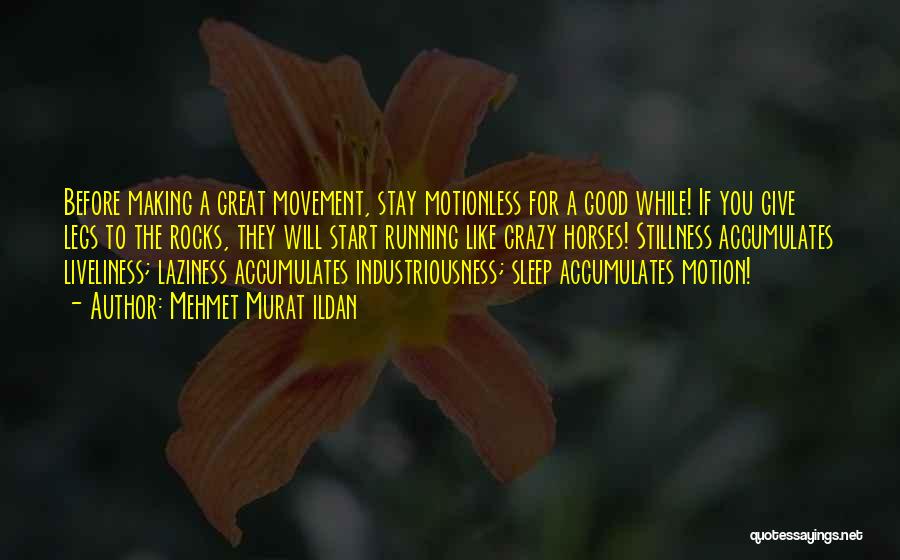 Stay In Motion Quotes By Mehmet Murat Ildan