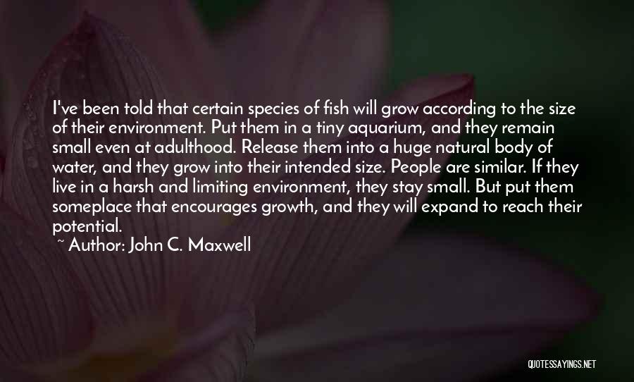 Stay Natural Quotes By John C. Maxwell
