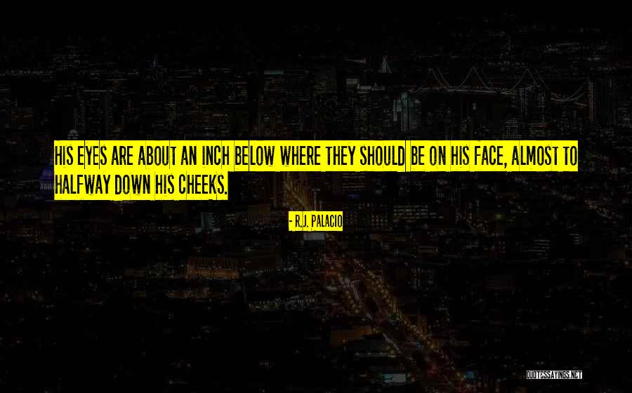 Stay Occupied Quotes By R.J. Palacio Stay Occupied Quotes By R.J. Palacio