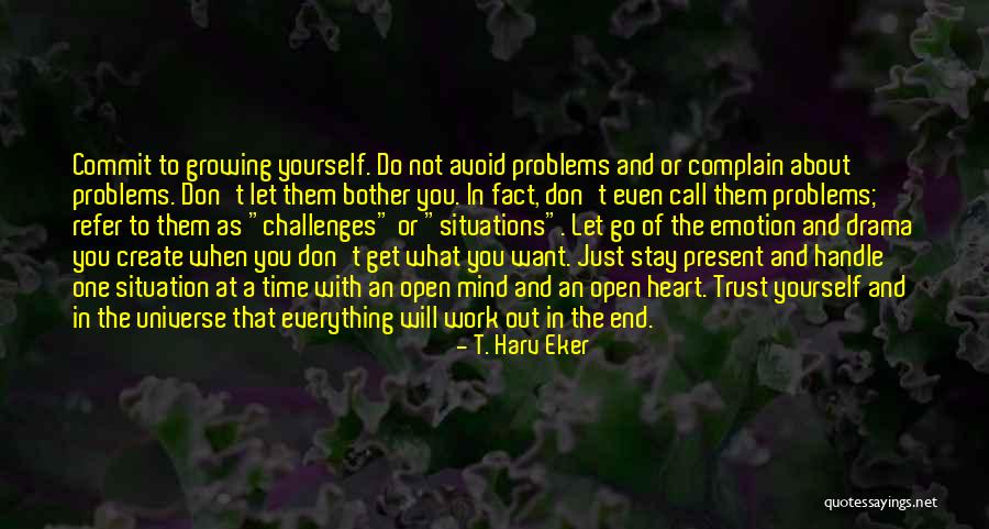 Stay Out Of Drama Quotes By T. Harv Eker Stay Out Of Drama Quotes By T. Harv Eker