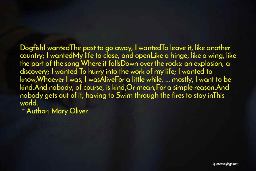 Stay Out Of My Life Quotes By Mary Oliver