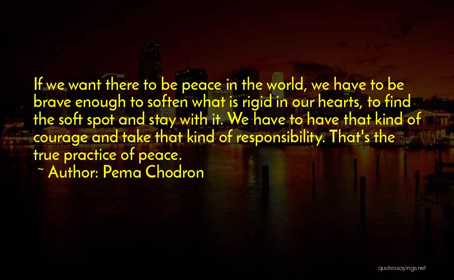 Stay Soft Quotes By Pema Chodron