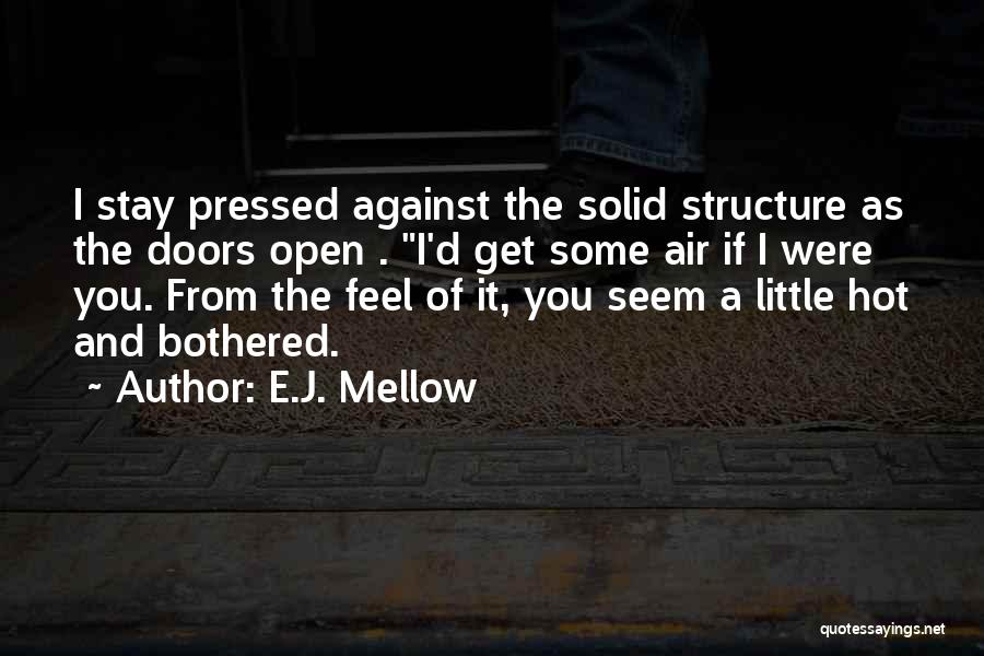 Stay Solid Quotes By E.J. Mellow