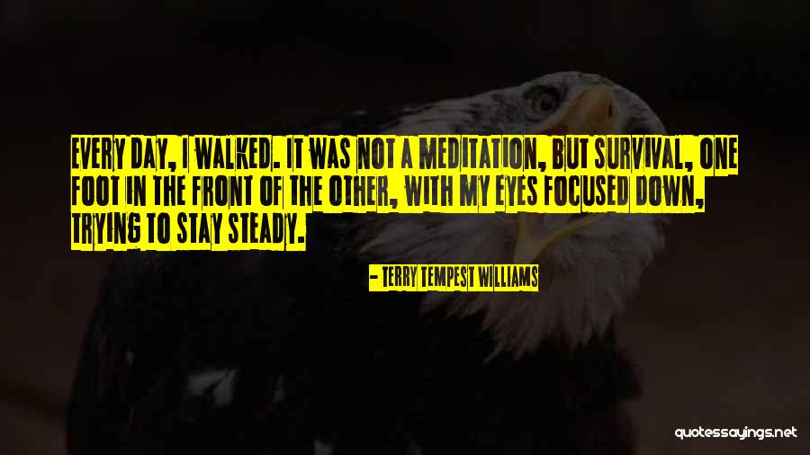 Stay Steady Quotes By Terry Tempest Williams Stay Steady Quotes By Terry Tempest Williams