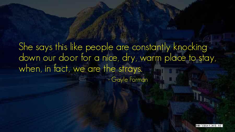 Stay Warm Quotes By Gayle Forman Stay Warm Quotes By Gayle Forman
