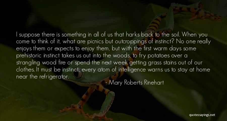 Stay Warm Quotes By Mary Roberts Rinehart Stay Warm Quotes By Mary Roberts Rinehart