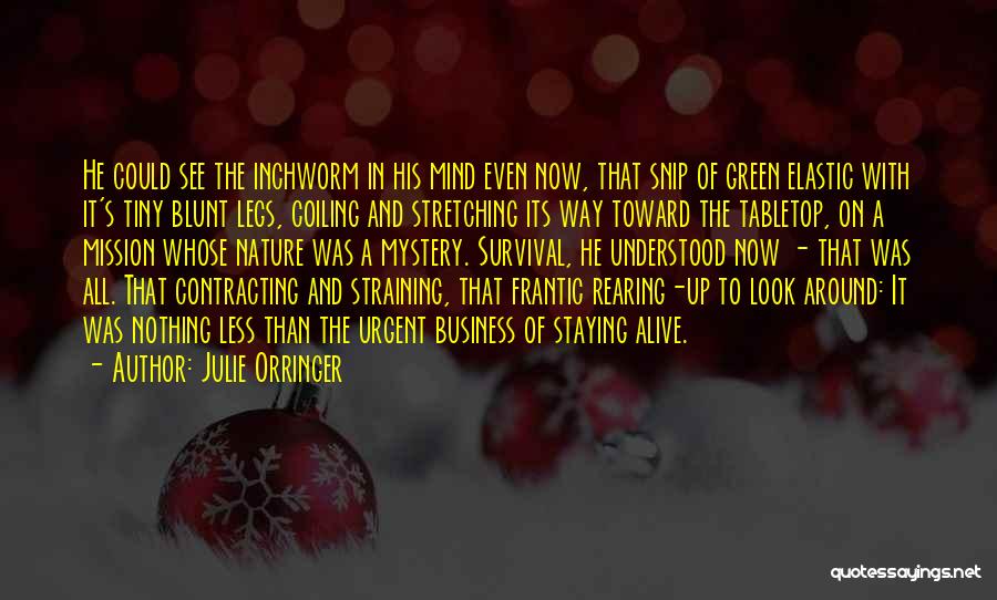 Staying In Your Own Business Quotes By Julie Orringer