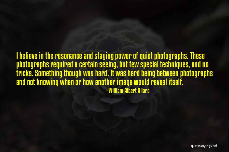 Staying Quiet Quotes By William Albert Allard Staying Quiet Quotes By William Albert Allard