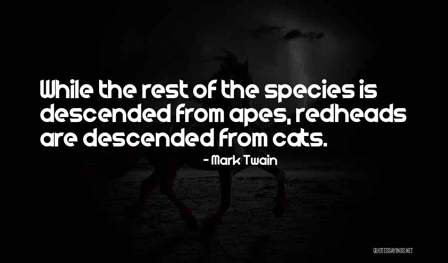 Stazenski Quotes By Mark Twain Stazenski Quotes By Mark Twain