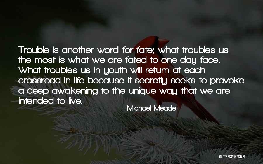 Stderr Library Quotes By Michael Meade Stderr Library Quotes By Michael Meade