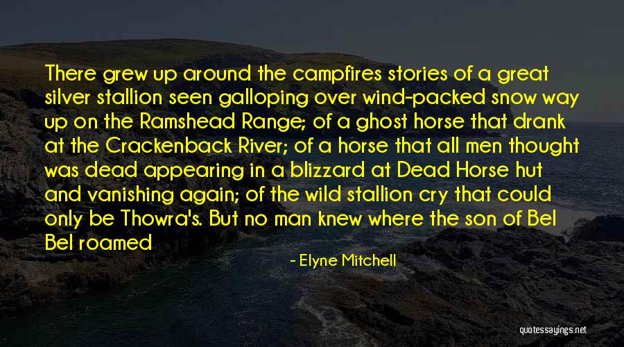 Ste Ejka Quotes By Elyne Mitchell Ste Ejka Quotes By Elyne Mitchell