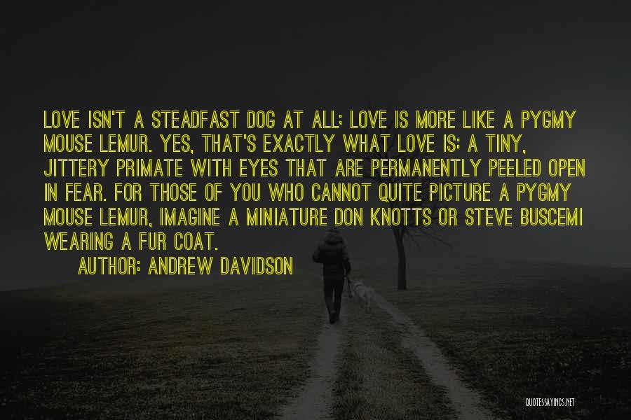 Steadfast Love Quotes By Andrew Davidson