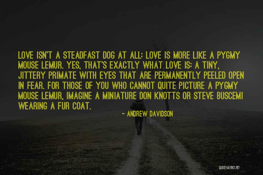 Steadfast Love Quotes By Andrew Davidson