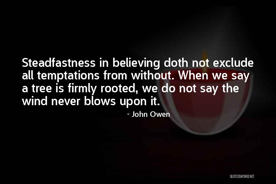 Steadfastness Quotes By John Owen Steadfastness Quotes By John Owen