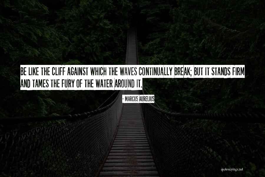 Steadfastness Quotes By Marcus Aurelius Steadfastness Quotes By Marcus Aurelius