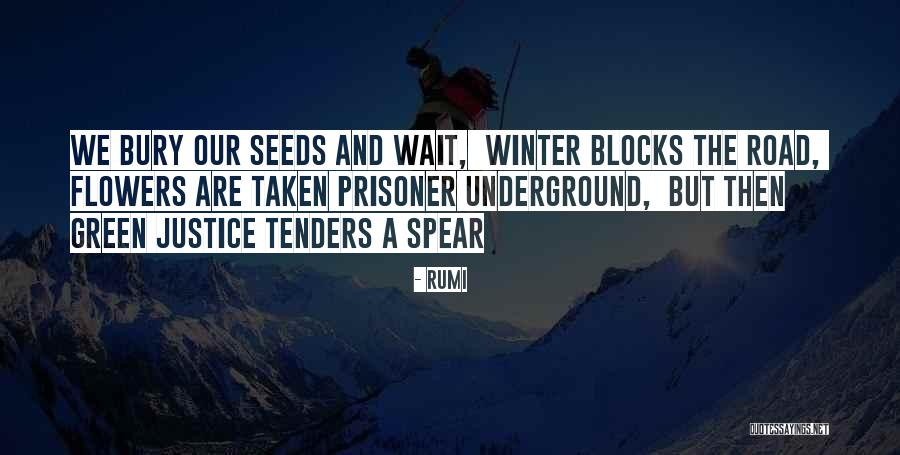 Steadied With A Rope Quotes By Rumi Steadied With A Rope Quotes By Rumi