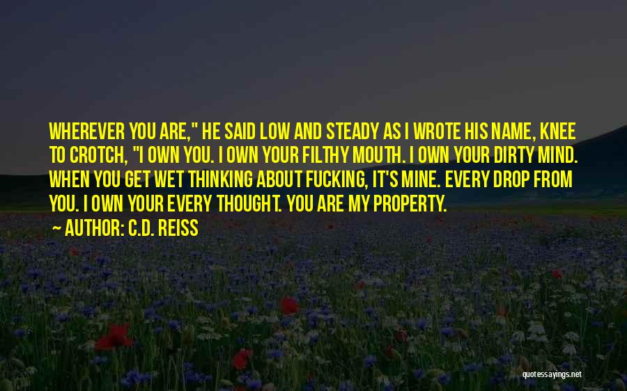 Steady Mind Quotes By C.D. Reiss