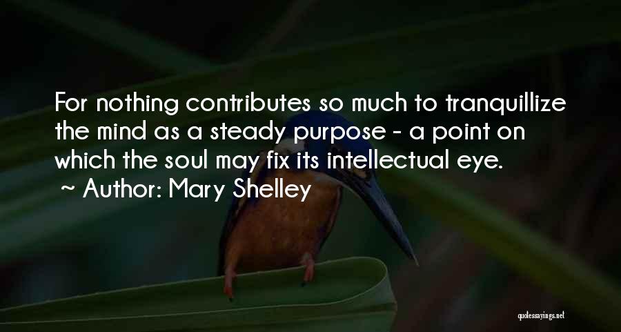 Steady Mind Quotes By Mary Shelley