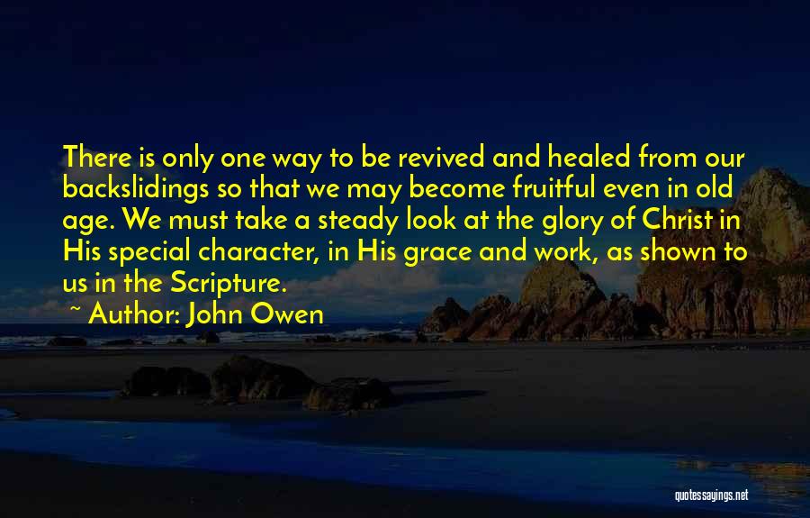 Steady Work Quotes By John Owen