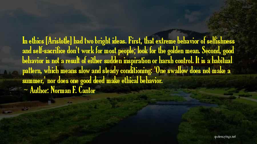 Steady Work Quotes By Norman F. Cantor