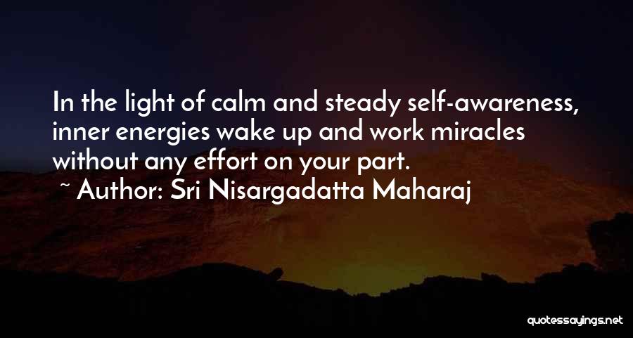 Steady Work Quotes By Sri Nisargadatta Maharaj