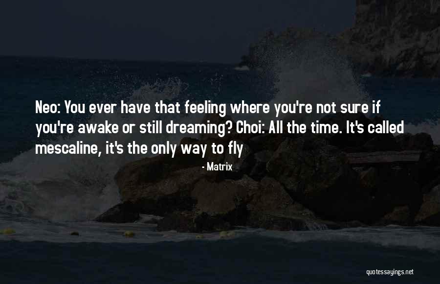 Steag Romania Quotes By Matrix Steag Romania Quotes By Matrix