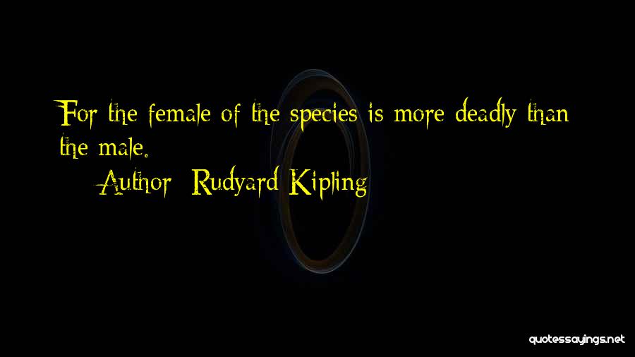 Steak And Shake Quotes By Rudyard Kipling