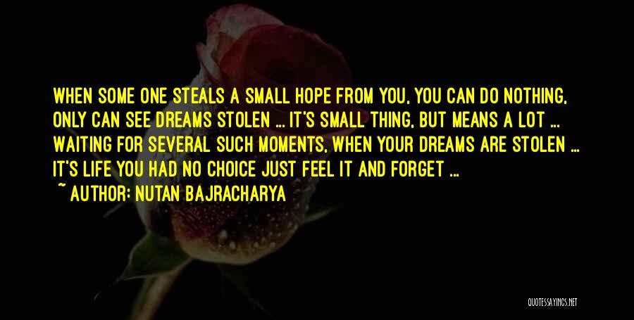 Steal Dreams Quotes By Nutan Bajracharya
