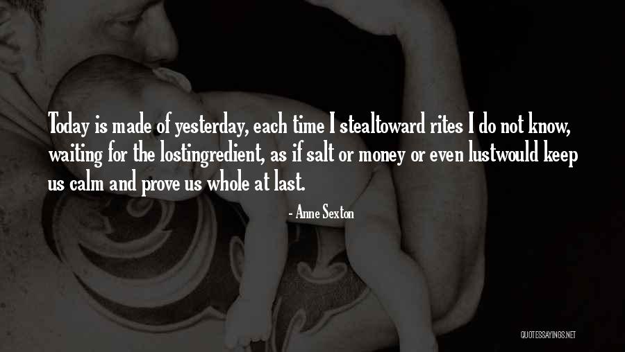 Steal Money Quotes By Anne Sexton