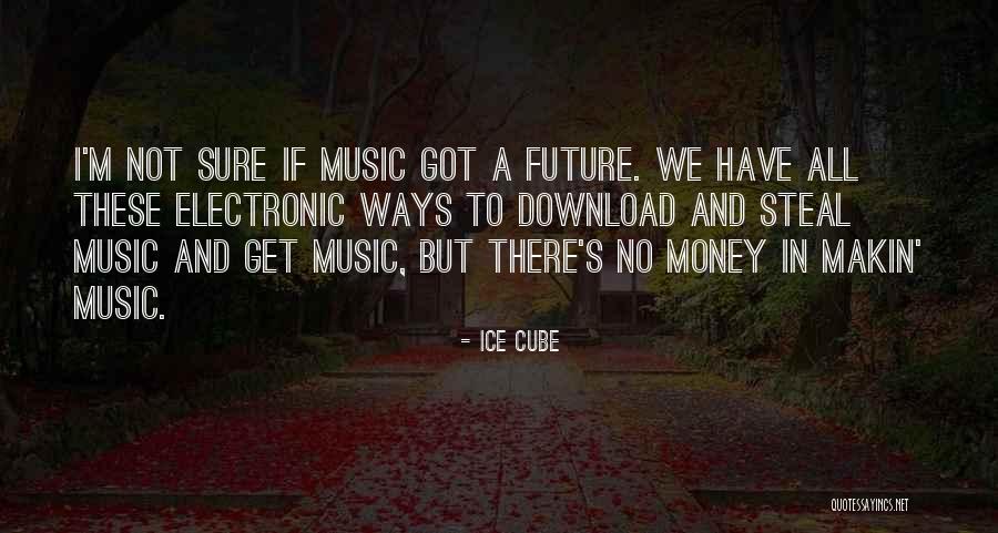 Steal Money Quotes By Ice Cube