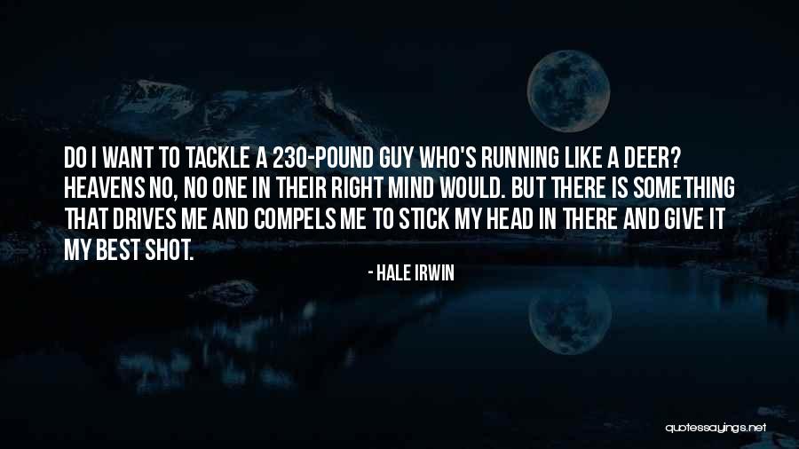 Steale Quotes By Hale Irwin Steale Quotes By Hale Irwin