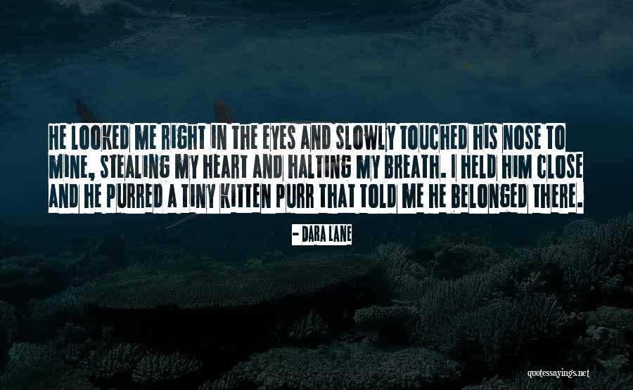 Stealing Her Heart Quotes By Dara Lane Stealing Her Heart Quotes By Dara Lane
