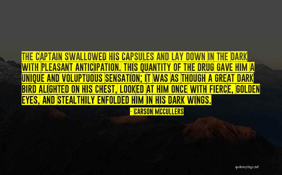 Stealthily Quotes By Carson McCullers Stealthily Quotes By Carson McCullers