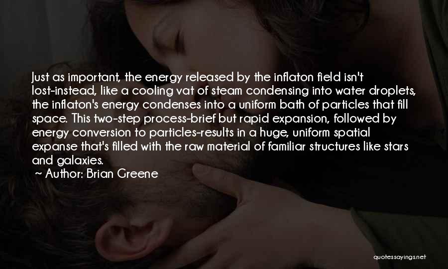 Steam Bath Quotes By Brian Greene