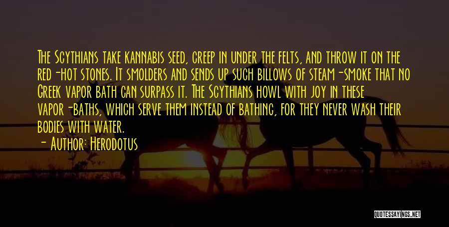 Steam Bath Quotes By Herodotus