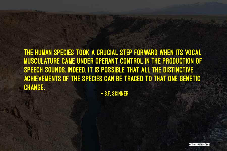 Steam Cleaning Carpets Quotes By B.F. Skinner