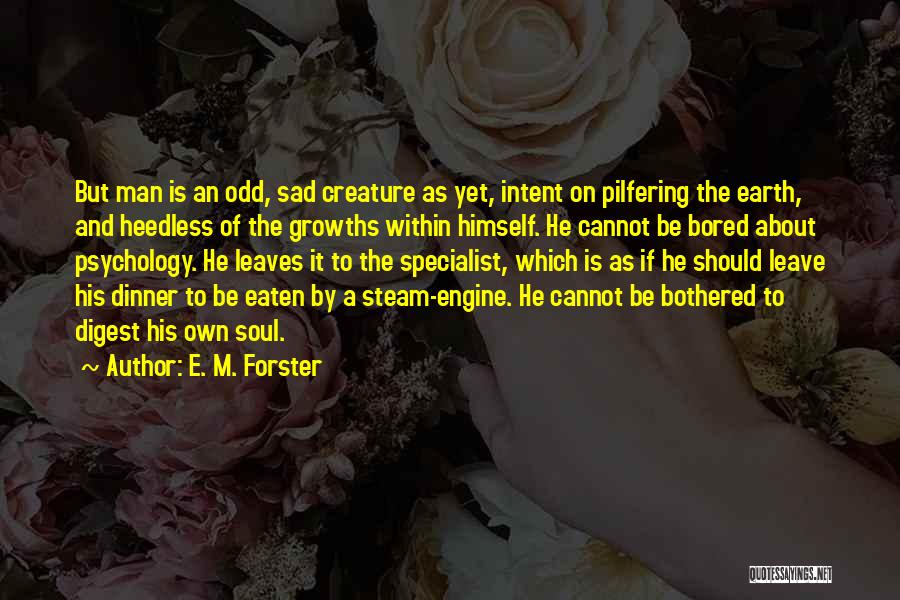Steam Engine Quotes By E. M. Forster