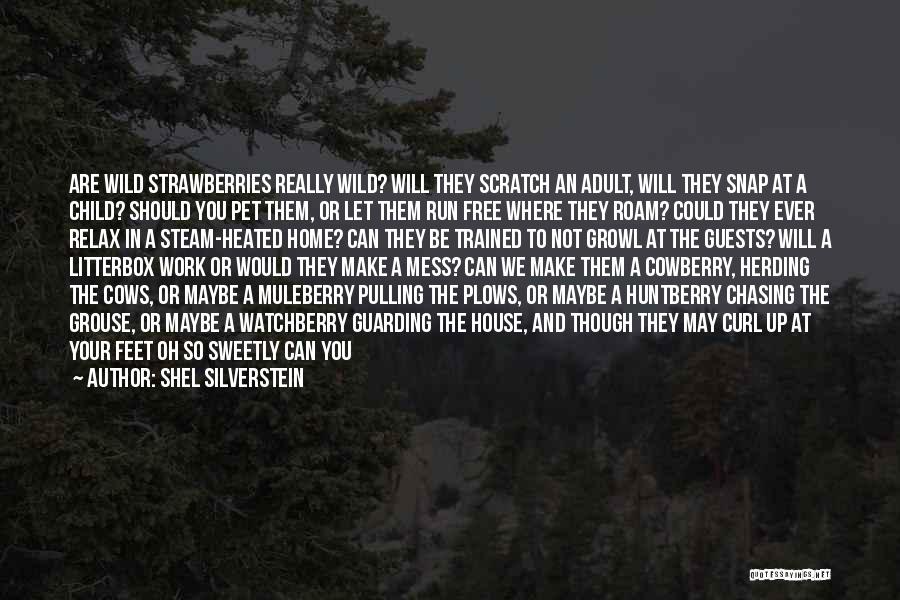 Steam Quotes By Shel Silverstein