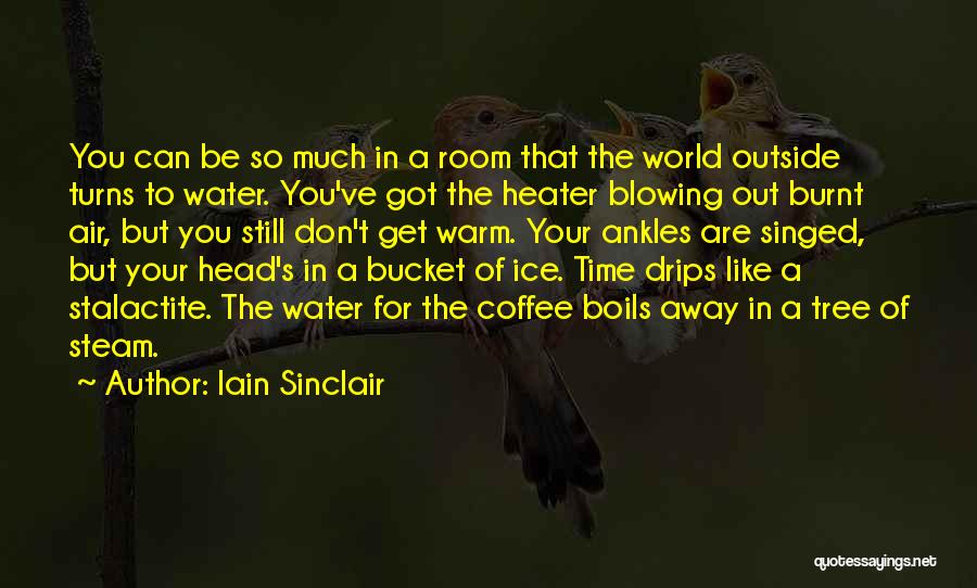 Steam Room Quotes By Iain Sinclair