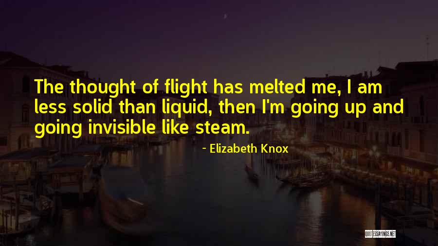 Steam Up Quotes By Elizabeth Knox Steam Up Quotes By Elizabeth Knox