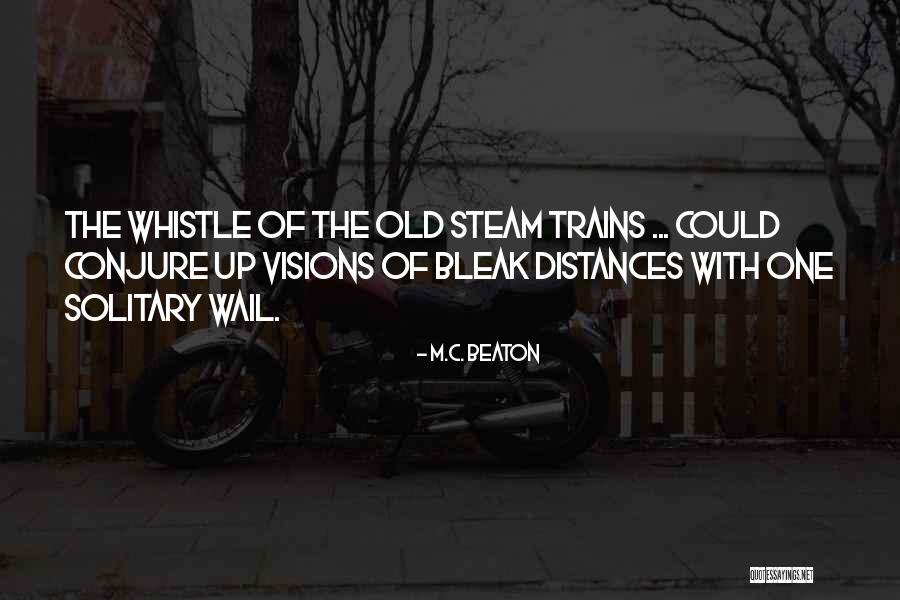 Steam Up Quotes By M.C. Beaton Steam Up Quotes By M.C. Beaton